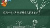重庆小学三年级下册作文教案怎么写,新人教版八年级上册语文教案【三篇】