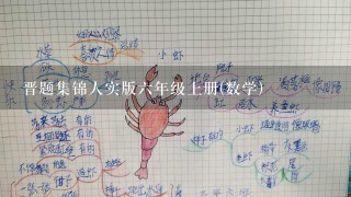 晋题集锦人实版六年级上册(数学)